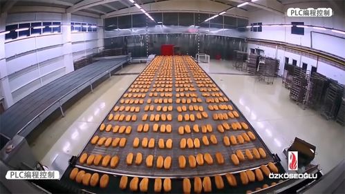 PLC編程控制 賦能食品生產(chǎn)線自動化，驅(qū)動企業(yè)管理升級